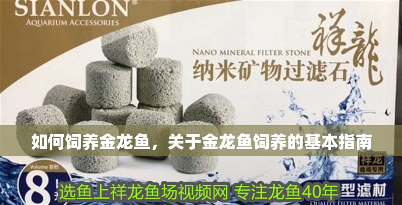 魚缸用增氧泵價格是多少:魚缸增氧機-xtrac增氧機-xtrac增氧機 如何飼養金龍魚,關于金龍魚飼養的基本指南 龍魚百科 如何飼養金龍魚,關于金龍魚飼養的基本指南 如何飼養金龍魚,關于金龍魚飼養的基本指南 龍魚百科