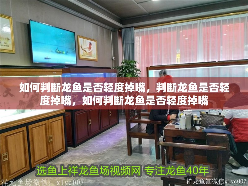 如何判斷龍魚是否輕度掉嘴，判斷龍魚是否輕度掉嘴，如何判斷龍魚是否輕度掉嘴 如何判斷龍魚是否輕度掉嘴，判斷龍魚是否輕度掉嘴，如何判斷龍魚是否輕度掉嘴 龍魚百科