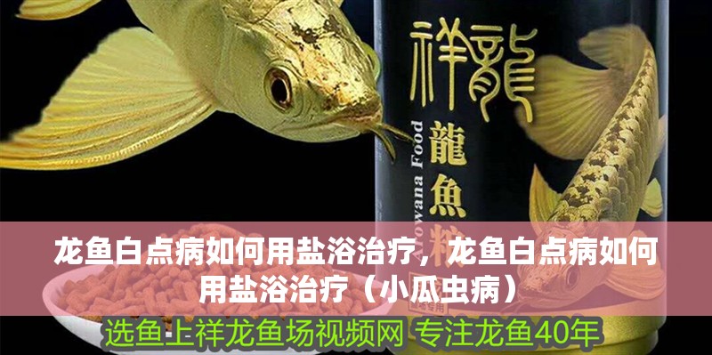 龍魚白點病如何用鹽浴治療，龍魚白點病如何用鹽浴治療（小瓜蟲病） 龍魚白點病如何用鹽浴治療，龍魚白點病如何用鹽浴治療（小瓜蟲病） 龍魚百科