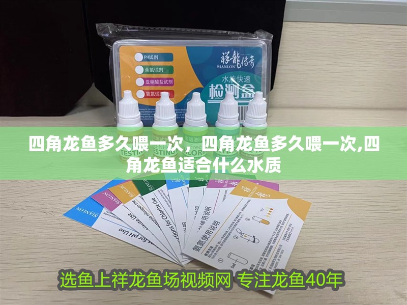 四角龍魚多久喂一次，四角龍魚多久喂一次,四角龍魚適合什么水質(zhì) 四角龍魚多久喂一次，四角龍魚多久喂一次,四角龍魚適合什么水質(zhì) 龍魚百科
