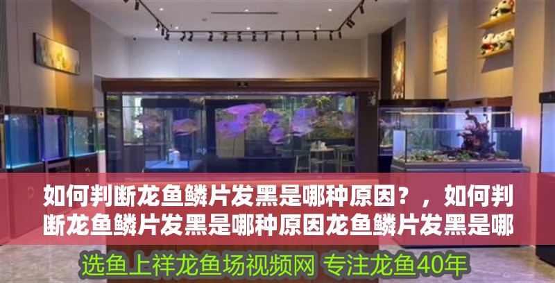 如何判斷龍魚鱗片發黑是哪種原因？，如何判斷龍魚鱗片發黑是哪種原因龍魚鱗片發黑是哪種原因 如何判斷龍魚鱗片發黑是哪種原因？，如何判斷龍魚鱗片發黑是哪種原因龍魚鱗片發黑是哪種原因 龍魚百科