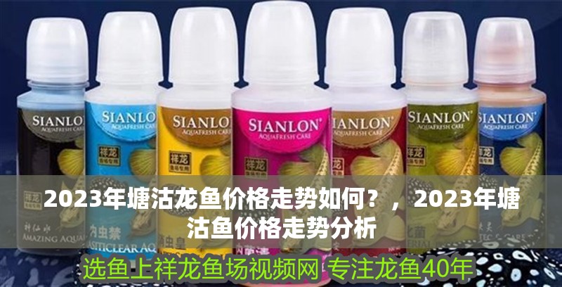 2023年塘沽龍魚價格走勢如何？，2023年塘沽魚價格走勢分析 2023年塘沽龍魚價格走勢如何？，2023年塘沽魚價格走勢分析 龍魚百科