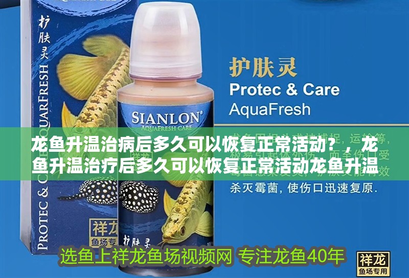龍魚升溫治病后多久可以恢復(fù)正常活動(dòng)？，龍魚升溫治療后多久可以恢復(fù)正常活動(dòng)龍魚升溫治療后多久可以喂食 龍魚升溫治病后多久可以恢復(fù)正常活動(dòng)？，龍魚升溫治療后多久可以恢復(fù)正常活動(dòng)龍魚升溫治療后多久可以喂食 龍魚百科