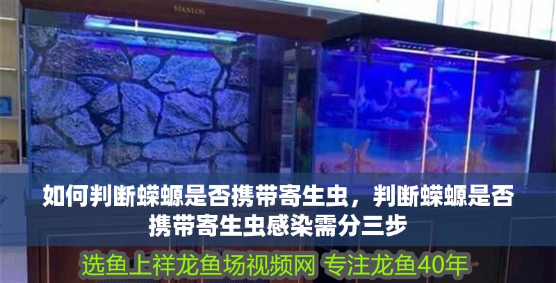 如何判斷蠑螈是否攜帶寄生蟲，判斷蠑螈是否攜帶寄生蟲感染需分三步 如何判斷蠑螈是否攜帶寄生蟲，判斷蠑螈是否攜帶寄生蟲感染需分三步 龍魚百科