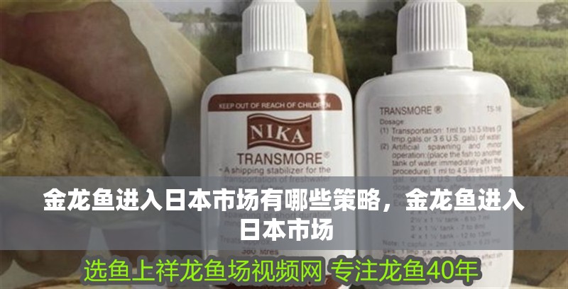 金龍魚進(jìn)入日本市場有哪些策略，金龍魚進(jìn)入日本市場 金龍魚進(jìn)入日本市場有哪些策略，金龍魚進(jìn)入日本市場 龍魚百科