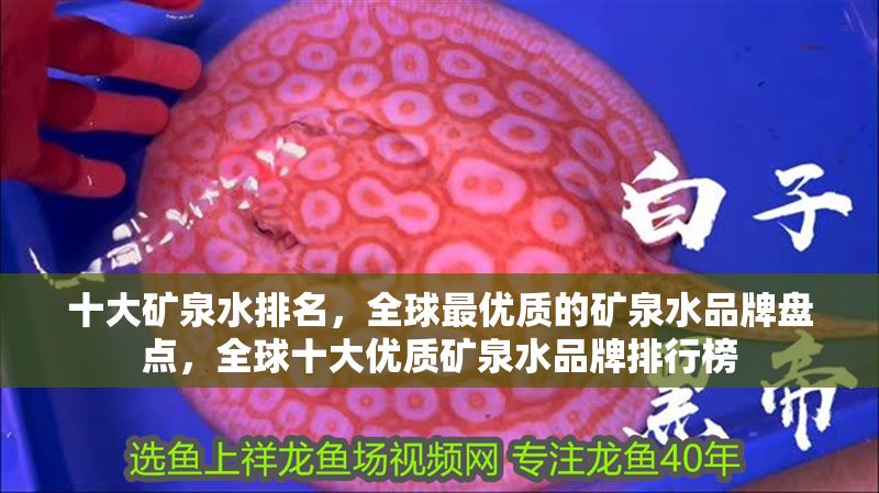 十大礦泉水排名，全球最優(yōu)質(zhì)的礦泉水品牌盤點(diǎn)，全球十大優(yōu)質(zhì)礦泉水品牌排行榜 十大礦泉水排名，全球最優(yōu)質(zhì)的礦泉水品牌盤點(diǎn)，全球十大優(yōu)質(zhì)礦泉水品牌排行榜 龍魚百科 第1張