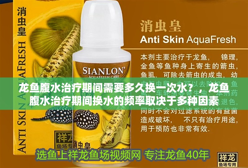 龍魚腹水治療期間需要多久換一次水？，龍魚腹水治療期間換水的頻率取決于多種因素 龍魚腹水治療期間需要多久換一次水？，龍魚腹水治療期間換水的頻率取決于多種因素 龍魚百科