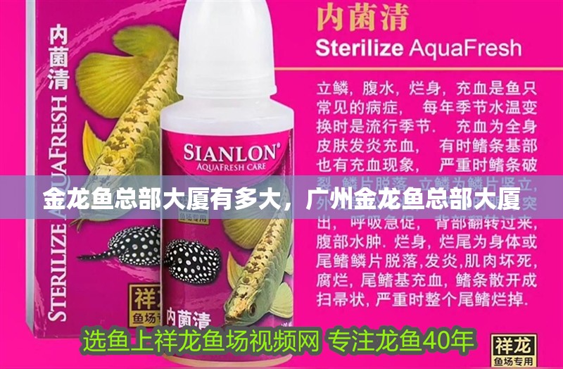 金龍魚總部大廈有多大，廣州金龍魚總部大廈 金龍魚總部大廈有多大，廣州金龍魚總部大廈 龍魚百科