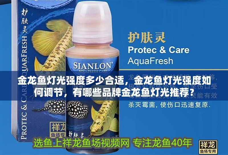 金龍魚燈光強度多少合適，金龍魚燈光強度如何調節，有哪些品牌金龍魚燈光推薦？ 金龍魚燈光強度多少合適，金龍魚燈光強度如何調節，有哪些品牌金龍魚燈光推薦？ 龍魚百科
