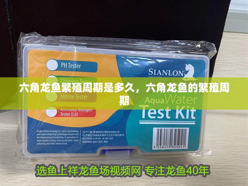 紅龍魚用黃燈烤有用嗎 六角龍魚繁殖周期是多久,六角龍魚的繁殖周期 龍魚百科 六角龍魚繁殖周期是多久,六角龍魚的繁殖周期 六角龍魚繁殖周期是多久,六角龍魚的繁殖周期 龍魚百科