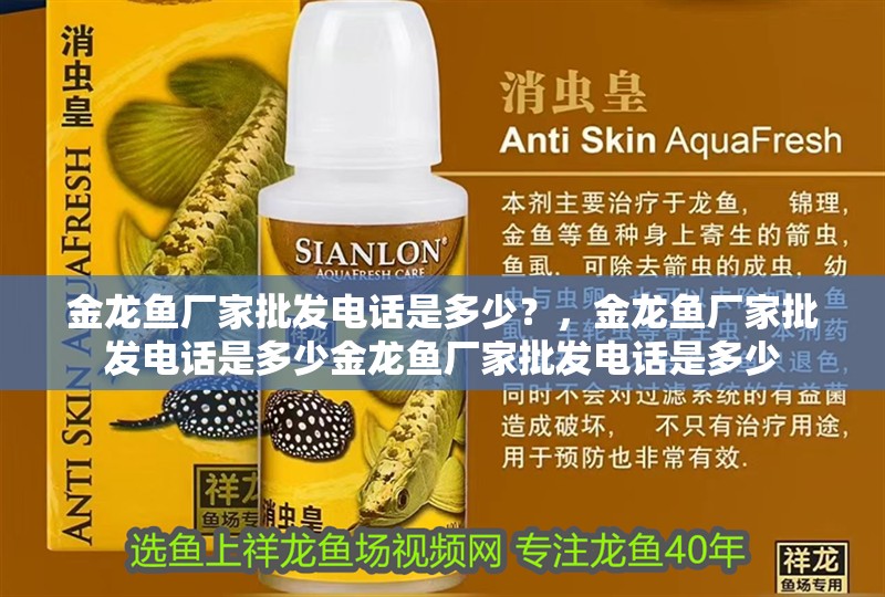 金龍魚廠家批發電話是多少？，金龍魚廠家批發電話是多少金龍魚廠家批發電話是多少 金龍魚廠家批發電話是多少？，金龍魚廠家批發電話是多少金龍魚廠家批發電話是多少 龍魚百科