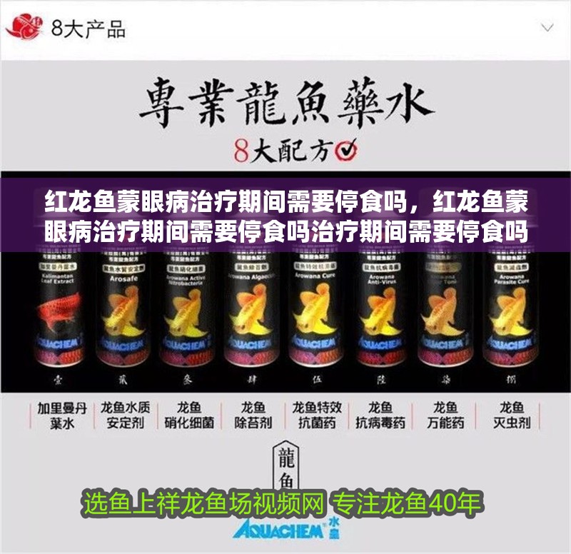 紅龍魚蒙眼病治療期間需要停食嗎，紅龍魚蒙眼病治療期間需要停食嗎治療期間需要停食嗎 紅龍魚蒙眼病治療期間需要停食嗎，紅龍魚蒙眼病治療期間需要停食嗎治療期間需要停食嗎 龍魚百科