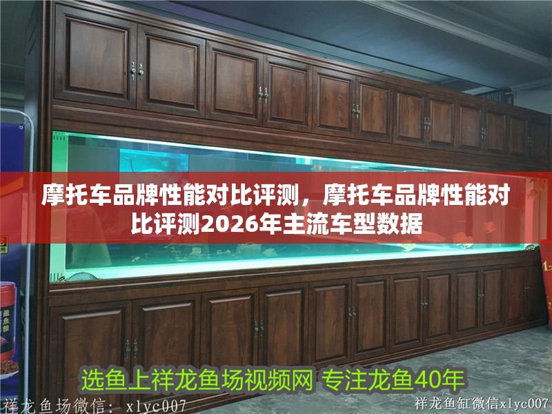 詳細閱讀:摩托車品牌性能對比評測,摩托車品牌性能對比評測2026年主流車型數據 摩托車品牌性能對比評測,摩托車品牌性能對比評測2026年主流車型數據