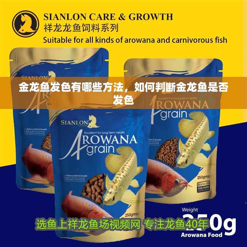 金龍魚(yú)發(fā)色有哪些方法，如何判斷金龍魚(yú)是否發(fā)色