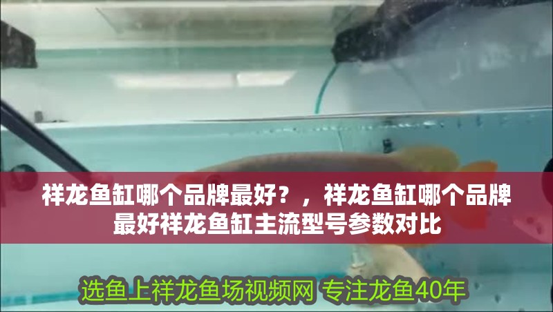 鸚鵡魚和銀龍魚混養怎樣喂食 祥龍魚缸哪個品牌最好?,祥龍魚缸哪個品牌最好祥龍魚缸主流型號參數對比 龍魚百科 祥龍魚缸哪個品牌最好?,祥龍魚缸哪個品牌最好祥龍魚缸主流型號參數對比 祥龍魚缸哪個品牌最好?,祥龍魚缸哪個品牌最好祥龍魚缸主流型號參數對比 龍魚百科