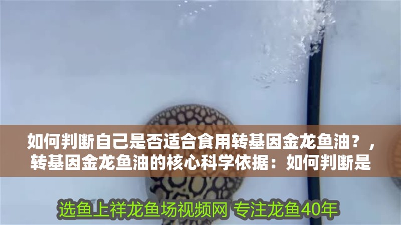 如何判斷自己是否適合食用轉(zhuǎn)基因金龍魚油？，轉(zhuǎn)基因金龍魚油的核心科學(xué)依據(jù)：如何判斷是否適合食用轉(zhuǎn)基因金龍魚油