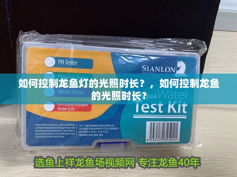 我的虎魚真菌感染了要怎么處理 如何控制龍魚燈的光照時長?,如何控制龍魚的光照時長? 龍魚百科 如何控制龍魚燈的光照時長?,如何控制龍魚的光照時長? 如何控制龍魚燈的光照時長?,如何控制龍魚的光照時長? 龍魚百科