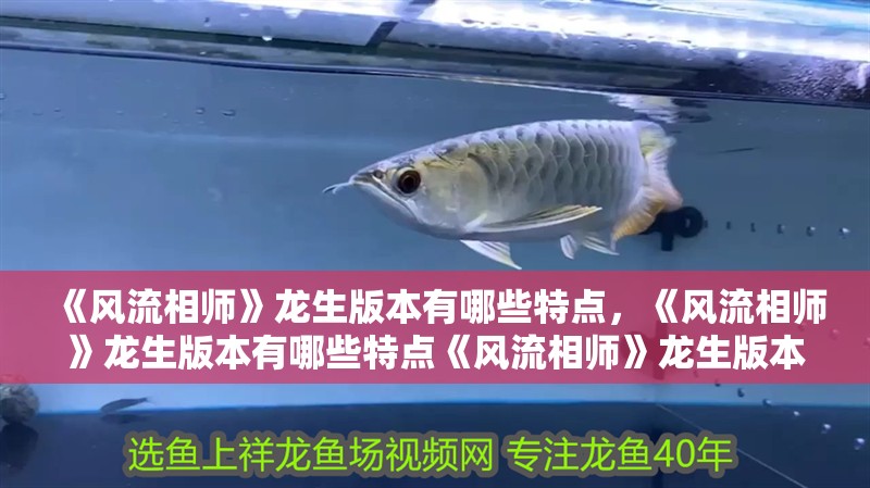 《風流相師》龍生版本有哪些特點，《風流相師》龍生版本有哪些特點《風流相師》龍生版本有哪些特點 《風流相師》龍生版本有哪些特點，《風流相師》龍生版本有哪些特點《風流相師》龍生版本有哪些特點 龍魚百科