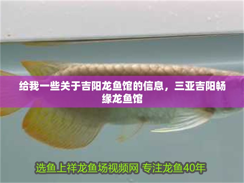 給我一些關(guān)于吉陽龍魚館的信息，三亞吉陽暢緣龍魚館