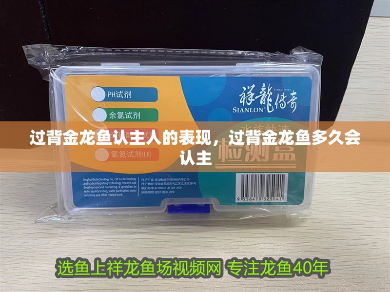過背金龍魚認(rèn)主人的表現(xiàn)，過背金龍魚多久會(huì)認(rèn)主 過背金龍魚認(rèn)主人的表現(xiàn)，過背金龍魚多久會(huì)認(rèn)主 龍魚百科