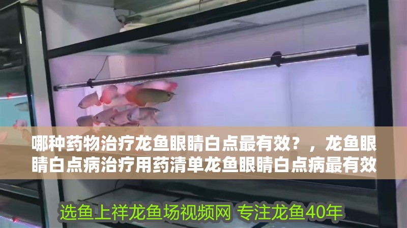 紅龍魚用黃燈烤有用嗎 哪種藥物治療龍魚眼睛白點最有效?,龍魚眼睛白點病治療用藥清單龍魚眼睛白點病最有效 龍魚百科 哪種藥物治療龍魚眼睛白點最有效?,龍魚眼睛白點病治療用藥清單龍魚眼睛白點病最有效 哪種藥物治療龍魚眼睛白點最有效?,龍魚眼睛白點病治療用藥清單龍魚眼睛白點病最有效 龍魚百科