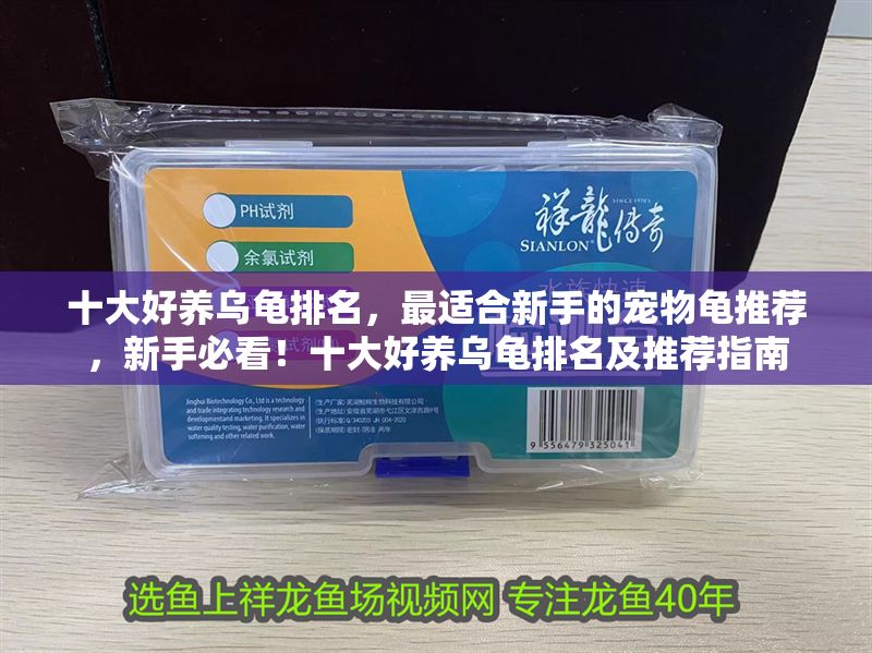 十大好養(yǎng)烏龜排名，最適合新手的寵物龜推薦，新手必看！十大好養(yǎng)烏龜排名及推薦指南