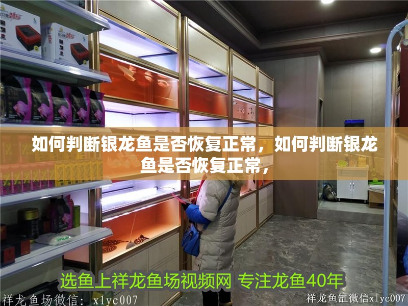 詳細閱讀:如何判斷銀龍魚是否恢復正常,如何判斷銀龍魚是否恢復正常, 如何判斷銀龍魚是否恢復正常,如何判斷銀龍魚是否恢復正常,