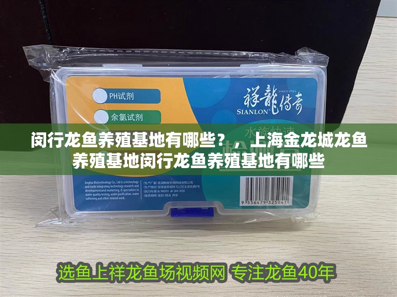 詳細閱讀:閔行龍魚養殖基地有哪些?,上海金龍城龍魚養殖基地閔行龍魚養殖基地有哪些 閔行龍魚養殖基地有哪些?,上海金龍城龍魚養殖基地閔行龍魚養殖基地有哪些