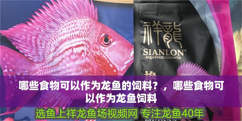 詳細閱讀:哪些食物可以作為龍魚的飼料?,哪些食物可以作為龍魚飼料 哪些食物可以作為龍魚的飼料?,哪些食物可以作為龍魚飼料