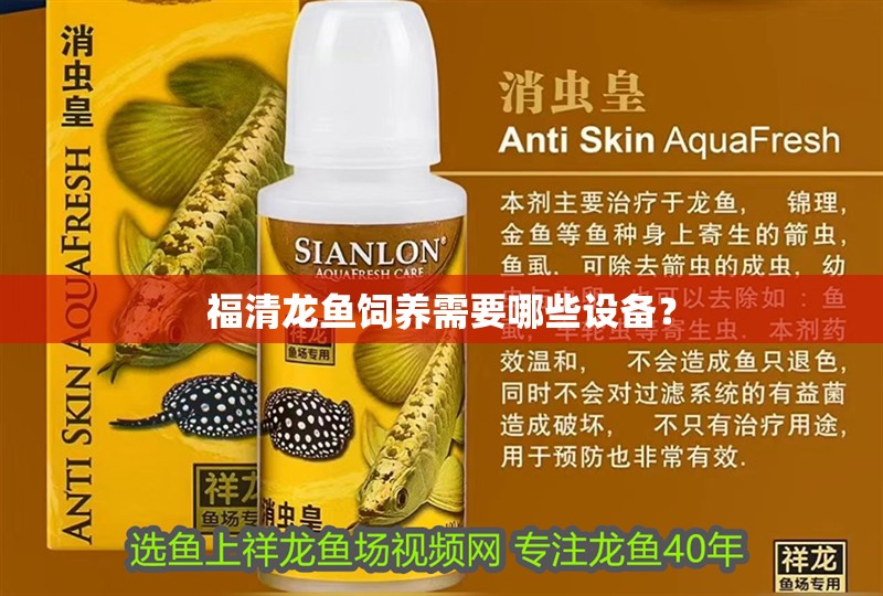 詳細閱讀:福清龍魚飼養需要哪些設備? 福清龍魚飼養需要哪些設備?