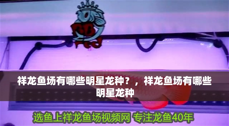 詳細閱讀:祥龍魚場有哪些明星龍種?,祥龍魚場有哪些明星龍種 祥龍魚場有哪些明星龍種?,祥龍魚場有哪些明星龍種