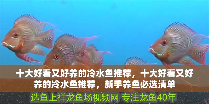 十大好看又好養(yǎng)的冷水魚推薦，十大好看又好養(yǎng)的冷水魚推薦，新手養(yǎng)魚必選清單