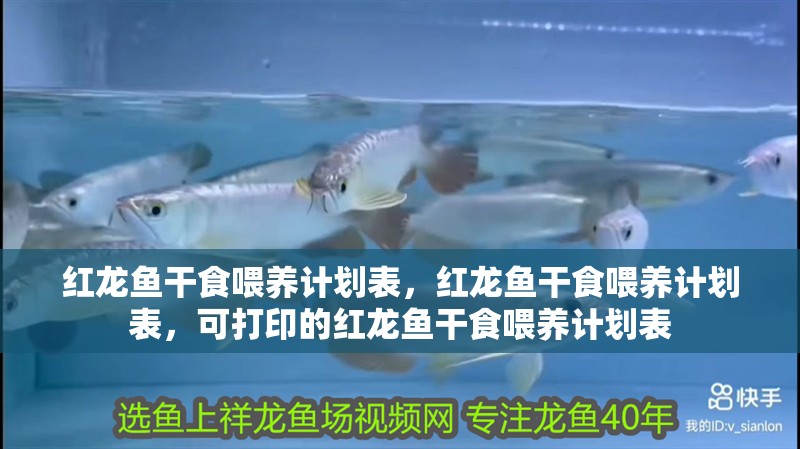 詳細(xì)閱讀:紅龍魚干食喂養(yǎng)計(jì)劃表,紅龍魚干食喂養(yǎng)計(jì)劃表,可打印的紅龍魚干食喂養(yǎng)計(jì)劃表 紅龍魚干食喂養(yǎng)計(jì)劃表,紅龍魚干食喂養(yǎng)計(jì)劃表,可打印的紅龍魚干食喂養(yǎng)計(jì)劃表