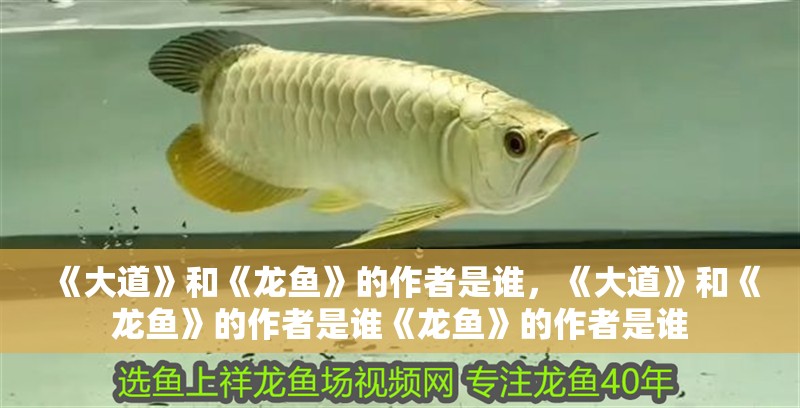 我的虎魚真菌感染了要怎么處理 《大道》和《龍魚》的作者是誰,《大道》和《龍魚》的作者是誰《龍魚》的作者是誰 龍魚百科 《大道》和《龍魚》的作者是誰,《大道》和《龍魚》的作者是誰《龍魚》的作者是誰 《大道》和《龍魚》的作者是誰,《大道》和《龍魚》的作者是誰《龍魚》的作者是誰 龍魚百科