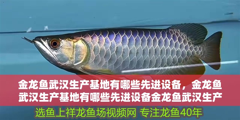 金龍魚武漢生產(chǎn)基地有哪些先進設(shè)備,金龍魚武漢生產(chǎn)基地有哪些先進設(shè)備金龍魚武漢生產(chǎn)基地 龍魚百科 金龍魚武漢生產(chǎn)基地有哪些先進設(shè)備,金龍魚武漢生產(chǎn)基地有哪些先進設(shè)備金龍魚武漢生產(chǎn)基地 金龍魚武漢生產(chǎn)基地有哪些先進設(shè)備,金龍魚武漢生產(chǎn)基地有哪些先進設(shè)備金龍魚武漢生產(chǎn)基地 龍魚百科