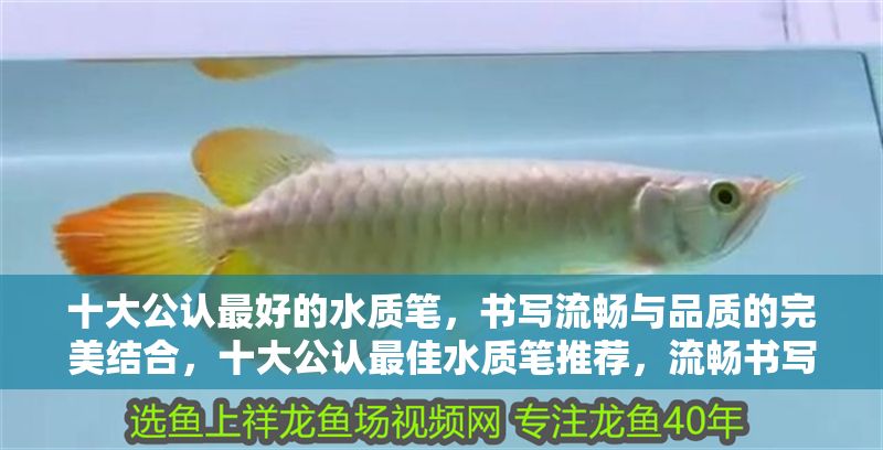 十大公認最好的水質筆，書寫流暢與品質的完美結合，十大公認最佳水質筆推薦，流暢書寫與卓越品質的完美之選