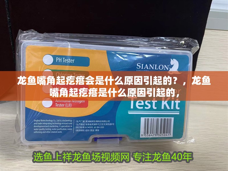 魚缸用增氧泵價(jià)格是多少:魚缸增氧機(jī)-xtrac增氧機(jī)-xtrac增氧機(jī) 龍魚嘴角起疙瘩會(huì)是什么原因引起的?,龍魚嘴角起疙瘩是什么原因引起的, 龍魚百科 龍魚嘴角起疙瘩會(huì)是什么原因引起的?,龍魚嘴角起疙瘩是什么原因引起的, 龍魚嘴角起疙瘩會(huì)是什么原因引起的?,龍魚嘴角起疙瘩是什么原因引起的, 龍魚百科
