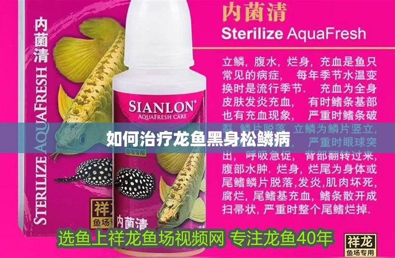如何治療龍魚黑身松鱗病