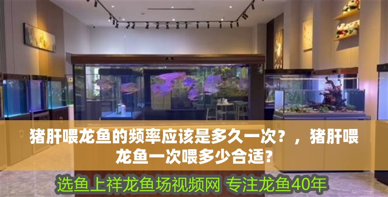 豬肝喂龍魚的頻率應該是多久一次？，豬肝喂龍魚一次喂多少合適？