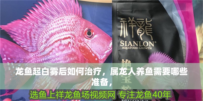 龍魚起白霧后如何治療，屬龍人養魚需要哪些準備，
