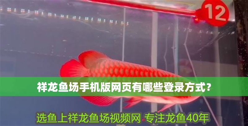 祥龍魚場手機版網頁有哪些登錄方式？