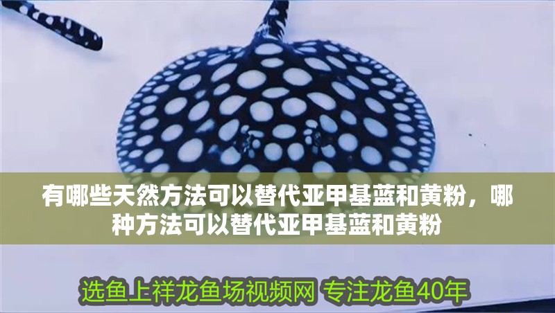有哪些天然方法可以替代亞甲基藍(lán)和黃粉，哪種方法可以替代亞甲基藍(lán)和黃粉 有哪些天然方法可以替代亞甲基藍(lán)和黃粉，哪種方法可以替代亞甲基藍(lán)和黃粉 龍魚百科
