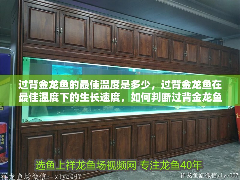過背金龍魚的最佳溫度是多少，過背金龍魚在最佳溫度下的生長(zhǎng)速度，如何判斷過背金龍魚是否處于最佳溫度