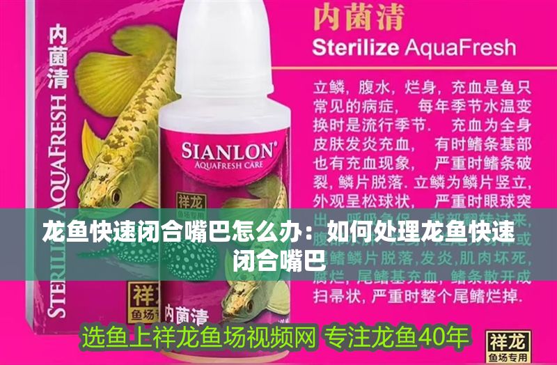 龍魚快速閉合嘴巴怎么辦：如何處理龍魚快速閉合嘴巴