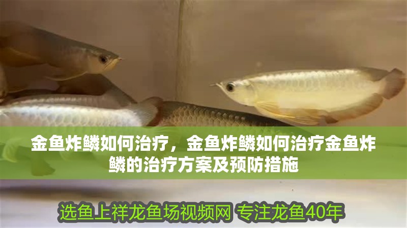 金魚炸鱗如何治療，金魚炸鱗如何治療金魚炸鱗的治療方案及預(yù)防措施