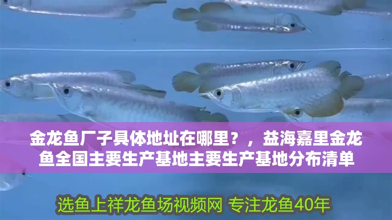 金龍魚廠子具體地址在哪里？，益海嘉里金龍魚全國主要生產基地主要生產基地分布清單 金龍魚廠子具體地址在哪里？，益海嘉里金龍魚全國主要生產基地主要生產基地分布清單 龍魚百科