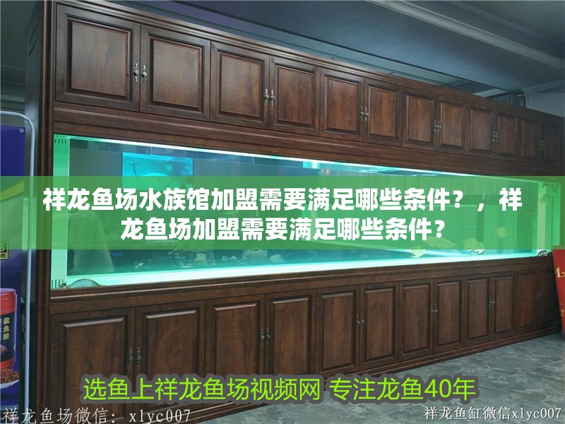 祥龍魚場水族館加盟需要滿足哪些條件？，祥龍魚場加盟需要滿足哪些條件？ 祥龍魚場水族館加盟需要滿足哪些條件？，祥龍魚場加盟需要滿足哪些條件？ 龍魚百科