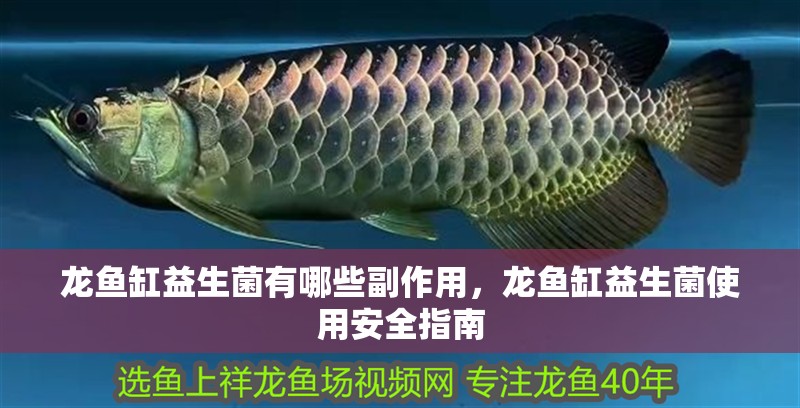 龍魚缸益生菌有哪些副作用，龍魚缸益生菌使用安全指南 龍魚缸益生菌有哪些副作用，龍魚缸益生菌使用安全指南 龍魚百科