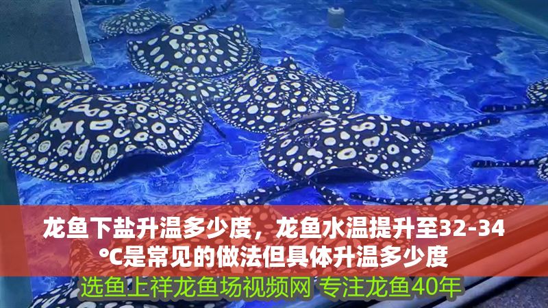 龍魚下鹽升溫多少度，龍魚水溫提升至32-34℃是常見的做法但具體升溫多少度