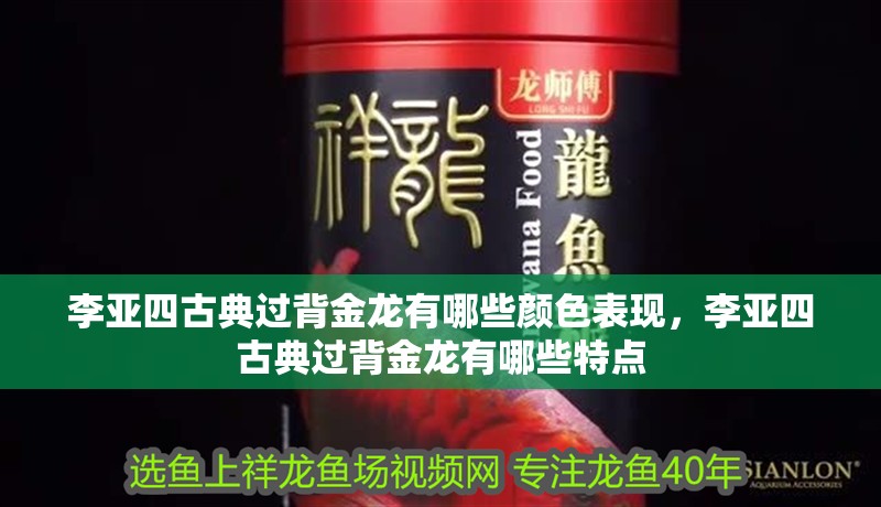 李亞四古典過背金龍有哪些顏色表現，李亞四古典過背金龍有哪些特點 李亞四古典過背金龍有哪些顏色表現，李亞四古典過背金龍有哪些特點 龍魚百科